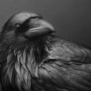 00nevermore00 avatar