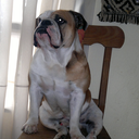 2011jagger avatar