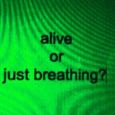 3rr0rs-1n-0ur-c0d3 avatar