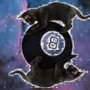 8ballcat avatar