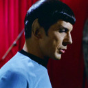 9151967 avatar