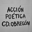 accion-poetica-cdobregon-blog avatar