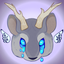 amora-the-chinchilla-blog avatar