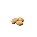 anything-but-average-potato avatar