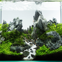 aquarium-hobby-blog avatar