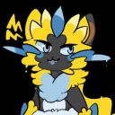 arctozeraora avatar