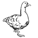 arthistorygoose-blog avatar