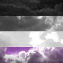 asexual-pride avatar