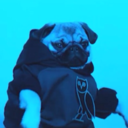 asimplepug-blog avatar