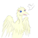 ask-zone-2-japhet avatar