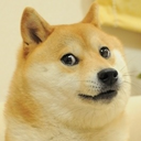 attack-on-doge avatar