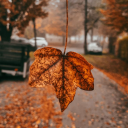 autumnwintervibes avatar