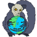 ayeayeconservation avatar