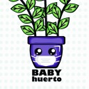 babyhuerto avatar