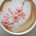 ballet-rose-latte avatar