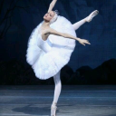 balletandstudy avatar