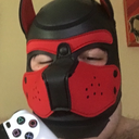 behemoththepup avatar