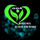 benefitsofmedicinalplants avatar