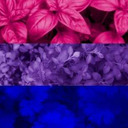 biosex-bisexuality-blog avatar