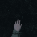birnevifeza avatar