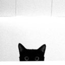 black-cat-superstition avatar