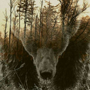 blackbears-posts-blog avatar