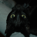 blackcatphysics avatar