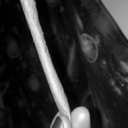 bluntride avatar