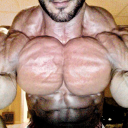 bodybuildertestosteron avatar