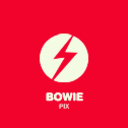 bowiepix-blog avatar