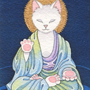 buddhist-feline-blog avatar