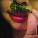 budsandproses avatar