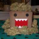 budsandtoys avatar