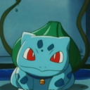 bulbusaur avatar