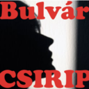 bulvarcsirip avatar