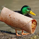 burritoduck avatar