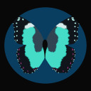 butterfly-houses-sys avatar