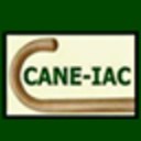 cane-iac avatar