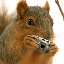 casualsquirrelwithdarksecrets avatar