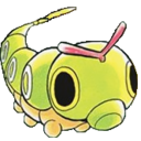 caterpie-propaganda avatar