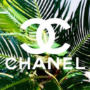 chanel-junkie avatar