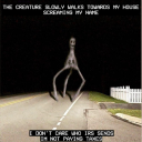 chickenandwhumplings avatar