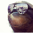 chromesloth avatar