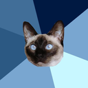 chronicillnesscat avatar