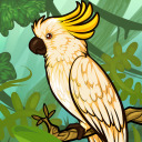 cockatoo-yellow44 avatar