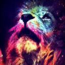 colorfulcatseatrainbows avatar