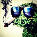 comesmokewithus avatar