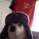 commarxism avatar