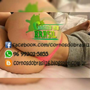 cornosdobrasil avatar