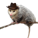 cowboycritter avatar